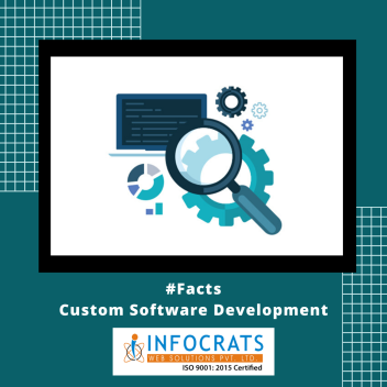 custom software development Indore
